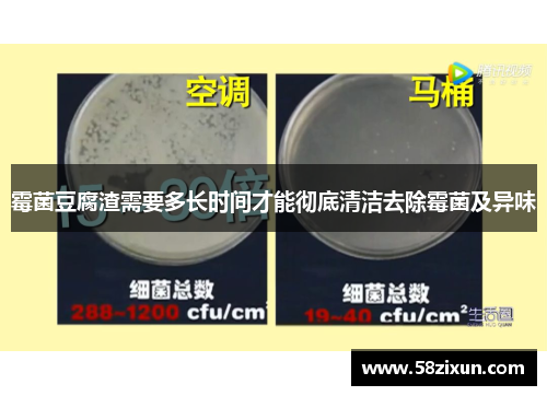 霉菌豆腐渣需要多长时间才能彻底清洁去除霉菌及异味
